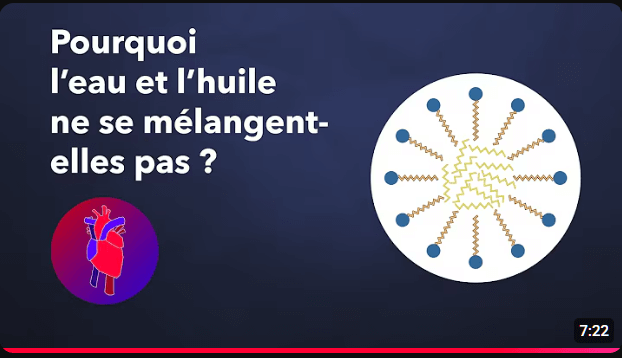pourquoi l'eau et l'huile en se mélangent pas ? la science en schéma